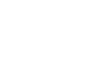NIF Global Raipur